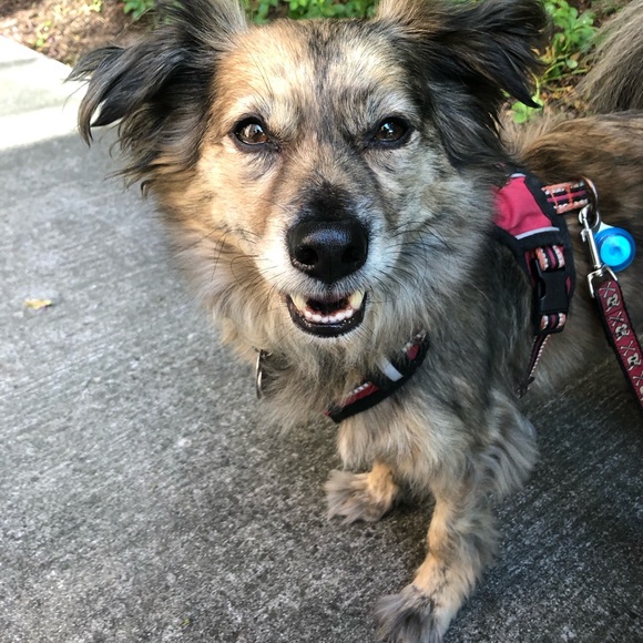 Meet your Posher, Rachel - Picture 3 of 5